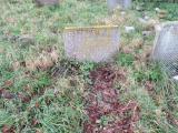 image of grave number 374079